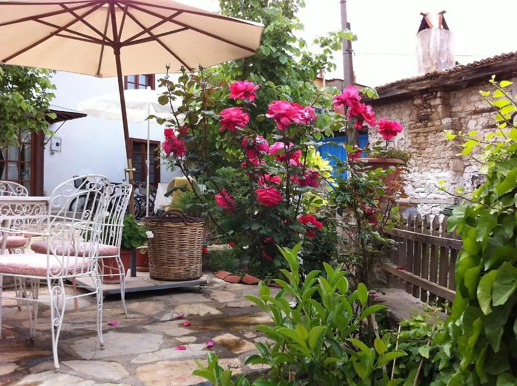 Collage House Hotel Bozhuyuk 0*,  Turecko